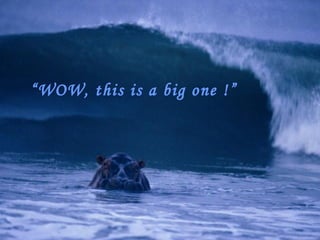 “ WOW, this is a big one !” 