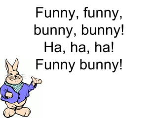 Funny Bunny