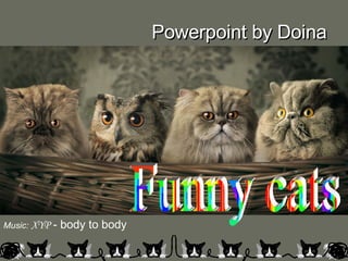 Funny cats Music:   XYP  - body to body Powerpoint by Doina 
