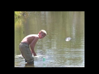 Un cocodrilo escurridizo