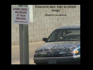 Estacione aquí, bajo su propio riesgo (Desecho de paloma)