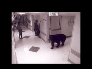 ¿Alguien sabe donde esta el área de maternidad?