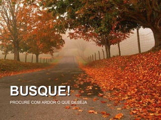 BUSQUE! PROCURE COM ARDOR O QUE DESEJA 