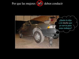 ¿Quién le dijo a mi  dueña  que yo servia para estos trabajos? 