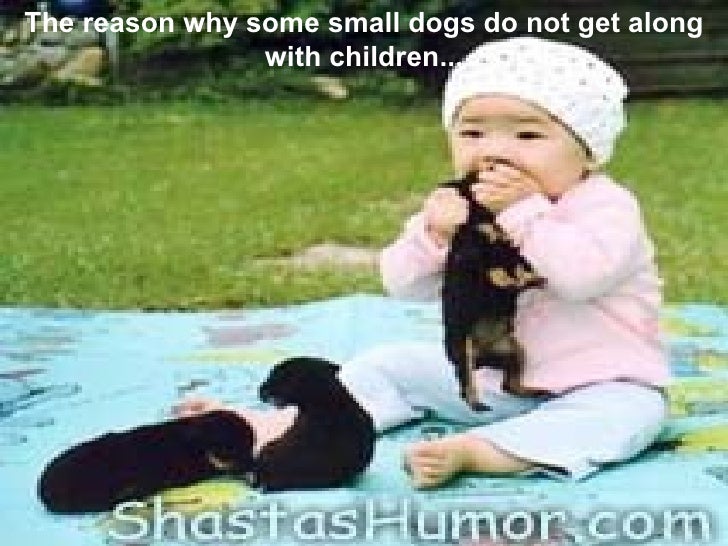 Cute Things Kids Do Cute Things Kids Do