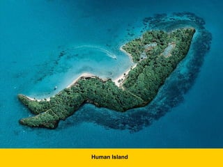 Human Island   