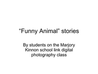 “Funny Animal” stories

 By students on the Marjory
  Kinnon school link digital
     photography class
 