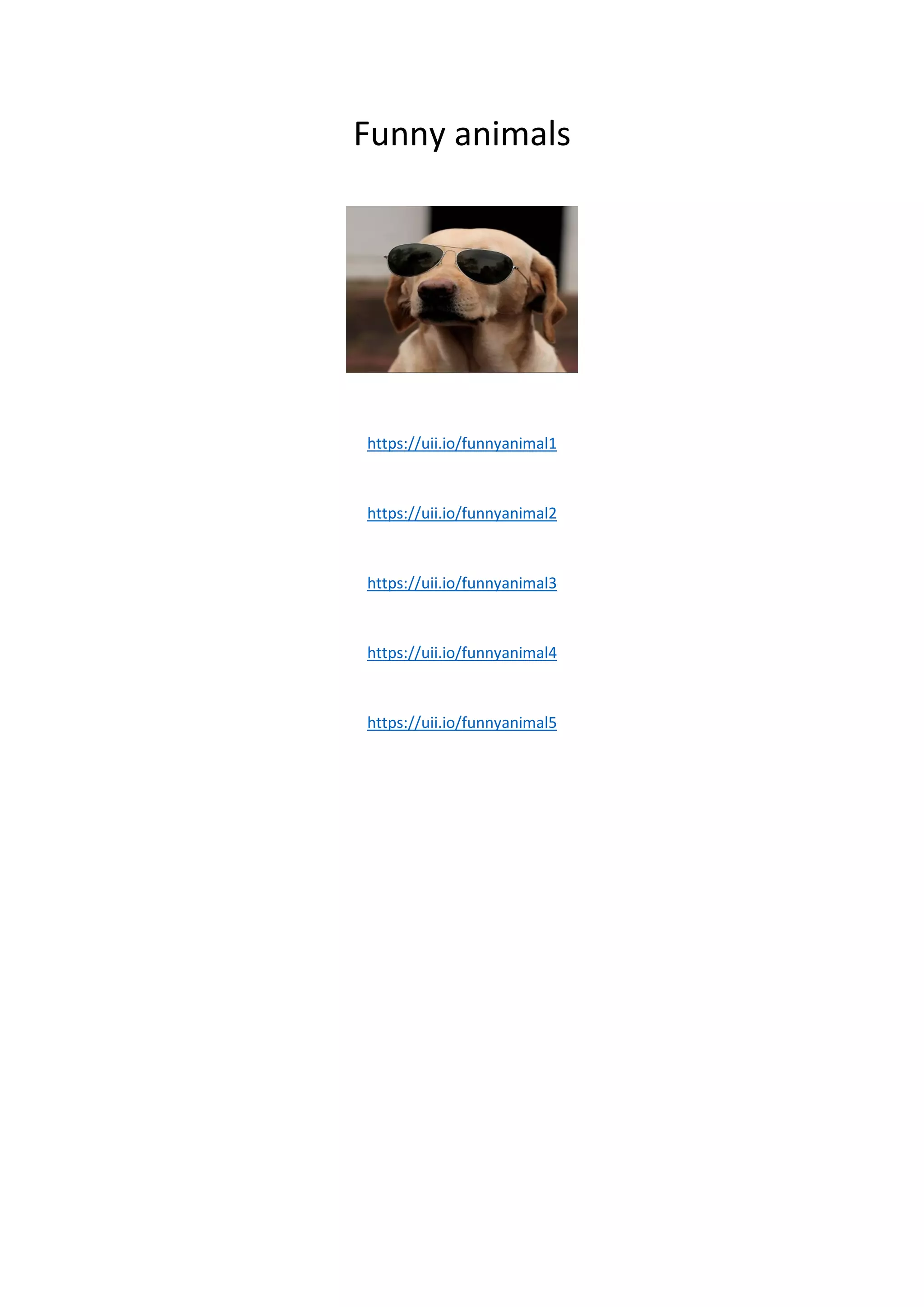 top Funny animals.pdf