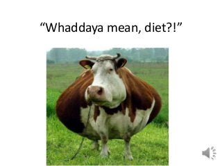 “Whaddaya mean, diet?!”
 
