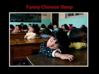 Funny Chinese Sleep
 