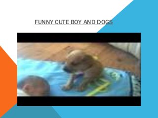 FUNNY CUTE BOY AND DOGS
 