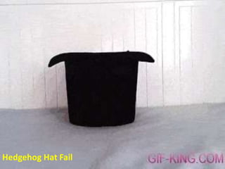Hedgehog Hat Fail 
 