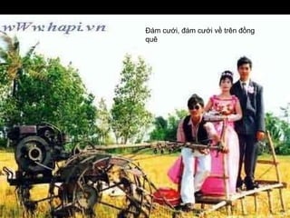 Đám cưới, đám cưới về trên đồng quê  