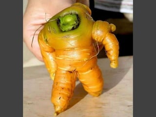Funny-Shaped Fruits And Vegetables | PPTX