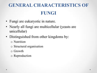 Fungi | PPTX
