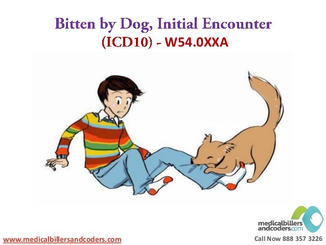 Funny ICD 10 Codes Funny ICD 10 Codes