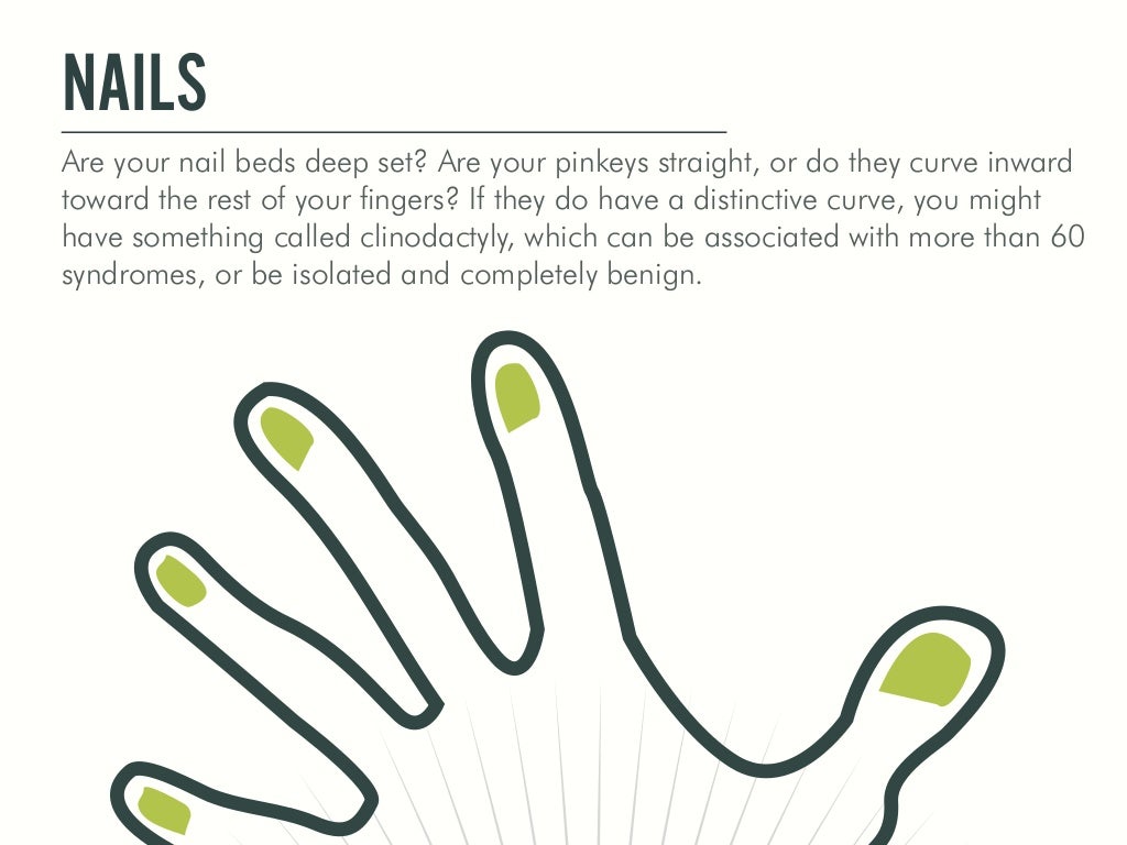 NAILS are your nail beds