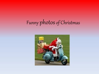 Funny photosof Christmas
 