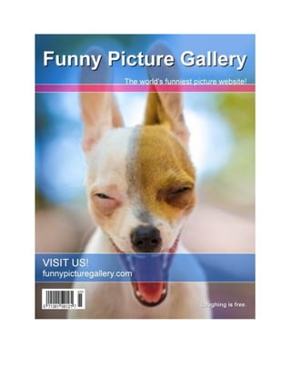 Funny picture gallery dog