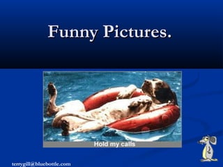 Funny Pictures.Funny Pictures.
terrygill@bluebottle.com
 