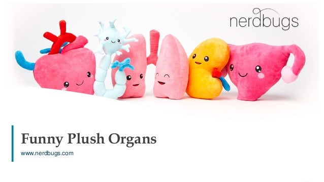 plush organs
