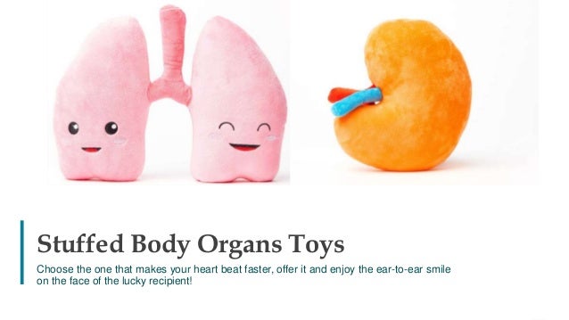 plush organs
