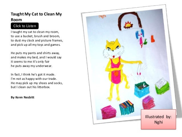 I Taught My Cat To Clean My Room I Taught My Cat To Clean My Room