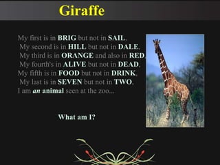 Funny riddles | PPTX | Food & Drink