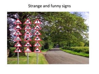 Strange and funny signs 