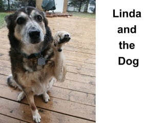 Linda
and
the
Dog
 