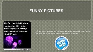FUNNY PICTURES
Share funny pictures, funny photos, and wall photos with your friends.
We have the funniest and safe-for-work pictures around
 