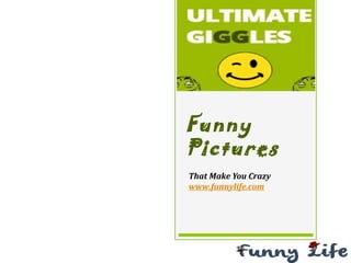 Funny
Pictures
That Make You Crazy
www.funnylife.com
 