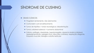 SÍNDROME DE CUSHING
 SINAIS CLÍNICOS
 Progridem lentamente, não alarmantes
 Confundem com envelhecimento
 Tumor de hipófise -> sinais neurológicos: desorientação
 Tumor unilateral adrenal -> aumento abdominal
 Poliúria, polifagia, obesidade, hepatomegalia, alopecia simérica bilateral,
hiperpigmentação, pelagem fina, infecções cutâneas, respiração ofegante,
fraquesa muscular, letargia e atrofia testicular
 