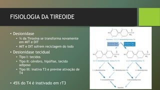 • Desionidase
• ¾ da Tiroxina se transforma novamente
em MIT e DIT
• MIT e DIT sofrem reciclagem do iodo
• Desionidase tecidual
• Tipo I: tecidos
• Tipo II: cérebro, hipófise, tecido
adiposo
• Tipo III: inativa T3 e previne ativação de
T4
• 45% do T4 é inativado em rT3
FISIOLOGIA DA TIREOIDE
 