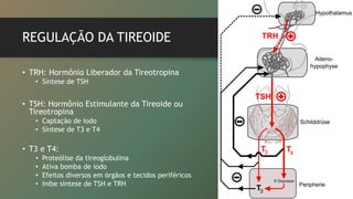 REGULAÇÃO DA TIREOIDE
• TRH: Hormônio Liberador da Tireotropina
• Síntese de TSH
• TSH: Hormônio Estimulante da Tireoide ou
Tireotropina
• Captação de Iodo
• Síntese de T3 e T4
• T3 e T4:
• Proteólise da tireoglobulina
• Ativa bomba de iodo
• Efeitos diversos em órgãos e tecidos periféricos
• Inibe síntese de TSH e TRH
 