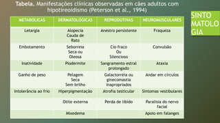 Tabela. Manifestações clínicas observadas em cães adultos com
hipotireoidismo (Peterson et al., 1994)
SINTO
MATOLO
GIA
METABOLICAS DERMATOLOGICAS REPRODUTIVAS NEUROMUSCULARES
Letargia Alopecia
Cauda de
Rato
Anestro persistente Fraqueza
Embotamento Seborreia
Seca ou
Oleosa
Cio fraco
Ou
Silencioso
Convulsão
Inatividade Piodermite Sangramento estral
prolongado
Ataxia
Ganho de peso Pelagem
Seca
Sem brilho
Galactorréia ou
ginecomastia
inapropriados
Andar em círculos
Intolerância ao frio Hiperpigmentação Atrofia testicular Sintomas vestibulares
Otite externa Perda de libido Paralisia do nervo
facial
Mixedema Apoio em falanges
 