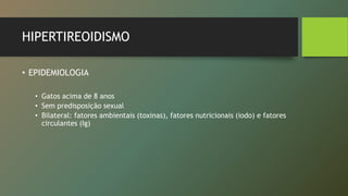 HIPERTIREOIDISMO
• EPIDEMIOLOGIA
• Gatos acima de 8 anos
• Sem predisposição sexual
• Bilateral: fatores ambientais (toxinas), fatores nutricionais (iodo) e fatores
circulantes (Ig)
 