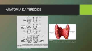 ANATOMIA DA TIREOIDE
Fonte: cal.vet.upenn.edu
Fonte:
www.williamsbradfordmd.com/procedures/thyroid
 
