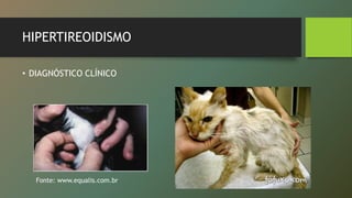 HIPERTIREOIDISMO
• DIAGNÓSTICO CLÍNICO
Fonte: www.equalis.com.br
 