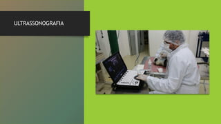 ULTRASSONOGRAFIA
 