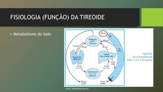 FISIOLOGIA (FUNÇÃO) DA TIREOIDE
• Metabolismo do Iodo
Fonte: slideplayer.com.br
 