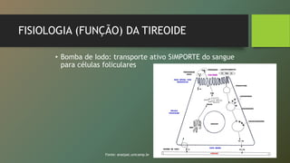 FISIOLOGIA (FUNÇÃO) DA TIREOIDE
• Bomba de Iodo: transporte ativo SiMPORTE do sangue
para células foliculares
Fonte: anatpat.unicamp.br
 