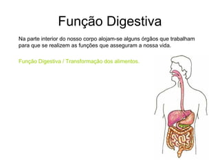 Função Digestiva
Na parte interior do nosso corpo alojam-se alguns órgãos que trabalham
para que se realizem as funções que asseguram a nossa vida.
Função Digestiva / Transformação dos alimentos.
 