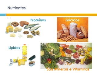 Lípidos
Sais Minerais e Vitaminas
GlícidosProteínas
Nutrientes
 