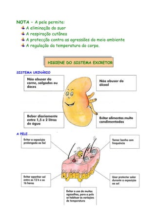 NOTA – A pele permite:
A eliminação do suor
A respiração cutânea
A protecção contra as agressões do meio ambiente
A regulação da temperatura do corpo.
HIGIENE DO SISTEMA EXCRETOR
SISTEMA URINÁRIO
A PELE
 