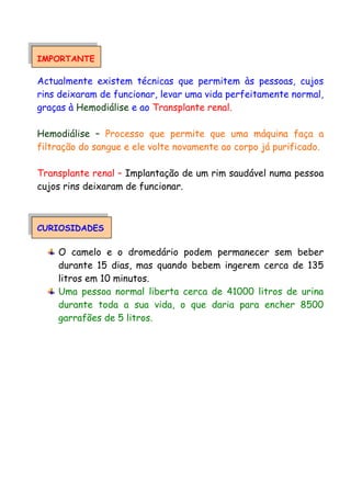 IMPORTANTE
Actualmente existem técnicas que permitem às pessoas, cujos
rins deixaram de funcionar, levar uma vida perfeitamente normal,
graças à Hemodiálise e ao Transplante renal.
Hemodiálise – Processo que permite que uma máquina faça a
filtração do sangue e ele volte novamente ao corpo já purificado.
Transplante renal – Implantação de um rim saudável numa pessoa
cujos rins deixaram de funcionar.
CURIOSIDADES
O camelo e o dromedário podem permanecer sem beber
durante 15 dias, mas quando bebem ingerem cerca de 135
litros em 10 minutos.
Uma pessoa normal liberta cerca de 41000 litros de urina
durante toda a sua vida, o que daria para encher 8500
garrafões de 5 litros.
 