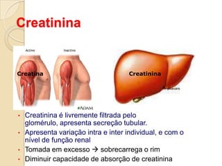 Taxa de Filtração GlomerularVolume plasmático de uma substância filtrada em uma fração de tempo