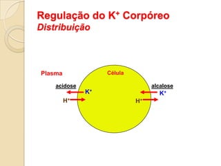 Fatores Extra Renais e Uréia