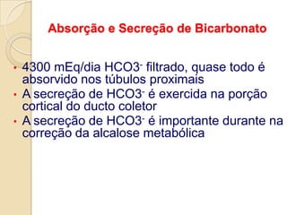 Tx Filtração GlomerularDiferentes SubstratosCreatinina:Creatina do músculo esquelético é convertida a partir do fígado em creatinina