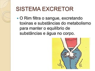 Metabolismo ósseo